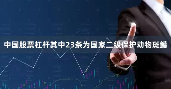 中国股票杠杆其中23条为国家二级保护动物斑鳠