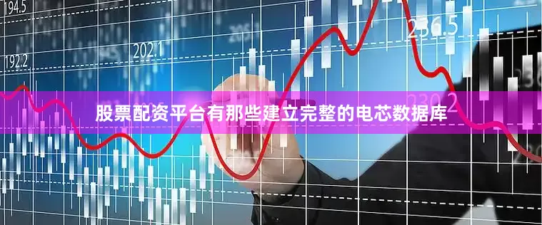 股票配资平台有那些建立完整的电芯数据库